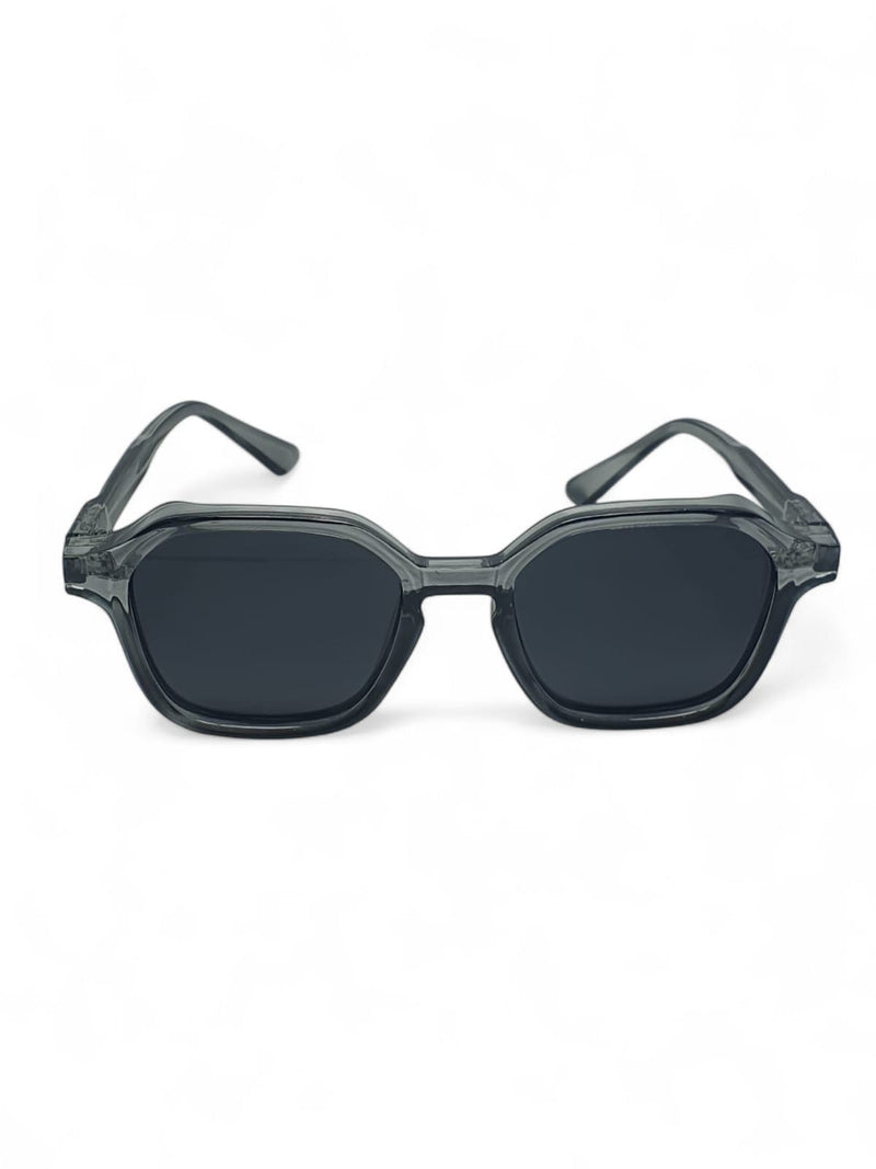 Polerized Smoke Grey Frame Sunglasses